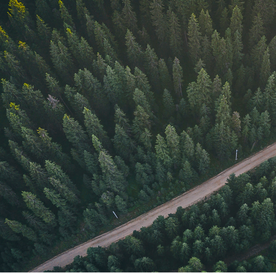 百能澳洲亿路发体彩幸运五